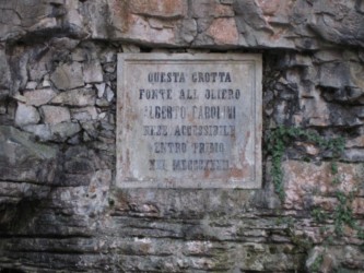 Parolini